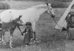 34_Approx1877NezPerceChildwithFoal_012548150_553050f9db494_146_100.png